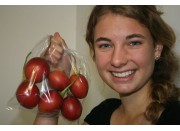 TAMARILLOS  500 Grams Katikati Grown